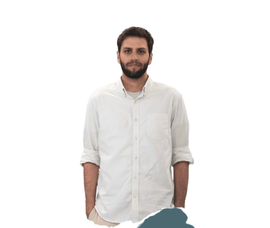 Team Member